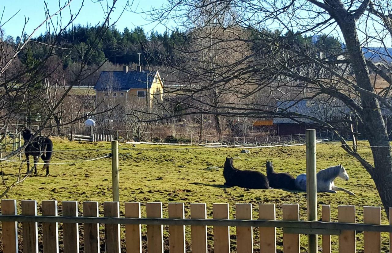 Kjorsvik Ovre Apartment Tornes ภายนอก รูปภาพ