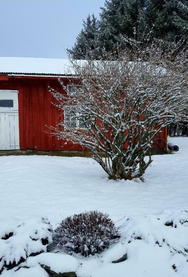 Kjorsvik Ovre Apartment Tornes ภายนอก รูปภาพ