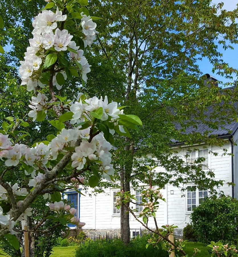 Kjorsvik Ovre Apartment Tornes ภายนอก รูปภาพ